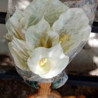 Ceramic Flowers wrapped in cellophane at Chimayo