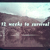 ICI-EK12weeks_survival_ed-sq